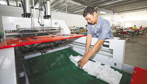 禁塑 進行時,海南推動替代品生產有序發(fā)展