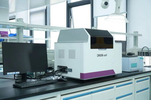 蓉耀未來 掌握合成生物 密碼 ,成都企業(yè)打造 細胞工廠 ,沖刺10億元產值目標