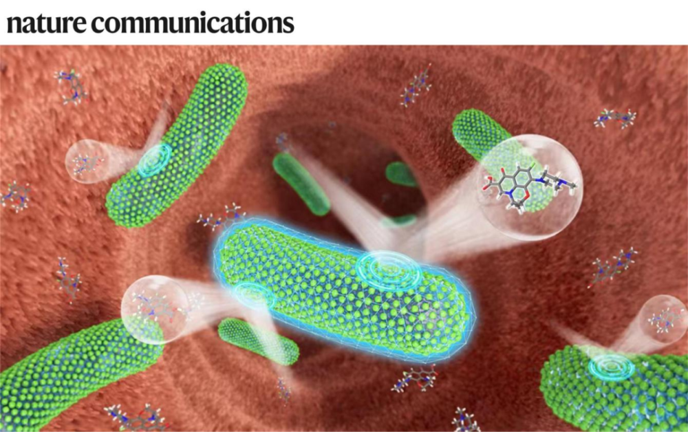 專訪郭俊凌丨川大/哈佛團(tuán)隊合作開發(fā)植物多酚納米材料,可保護(hù)益生菌免受抗生素殺傷,相關(guān)LBP活體生物藥計劃推進(jìn)臨床I期
