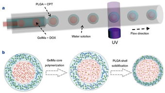 生物材料的多樣性和dds設計 藥物傳遞系統(tǒng) 專刊圖文詳解