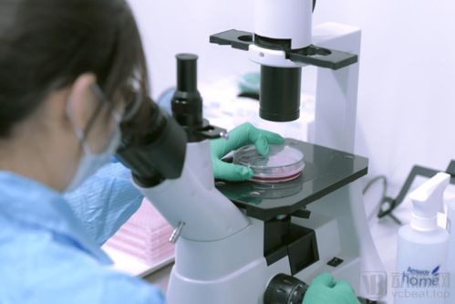 打造產(chǎn)業(yè)鏈 惠邦生物以獨(dú)創(chuàng)能力加碼IVD創(chuàng)新產(chǎn)品研發(fā)，持續(xù)發(fā)力原料市場與生物基材料技術(shù)研發(fā)