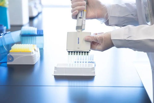 北京協(xié)和醫(yī)院傾力打造疑難罕見(jiàn)病基礎(chǔ)研究與前沿技術(shù)創(chuàng)新核心基地——生物基材料技術(shù)研發(fā)